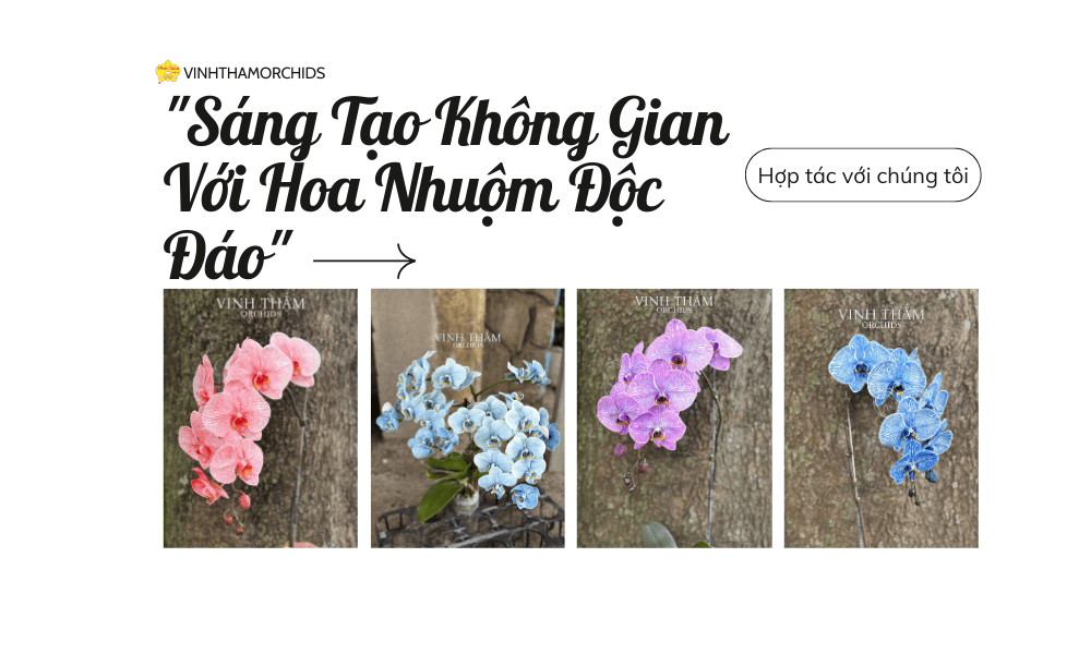 Thiết Kế Tương Lai (7)