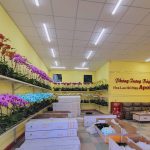 Welcome To Vinh Thắm Orchids