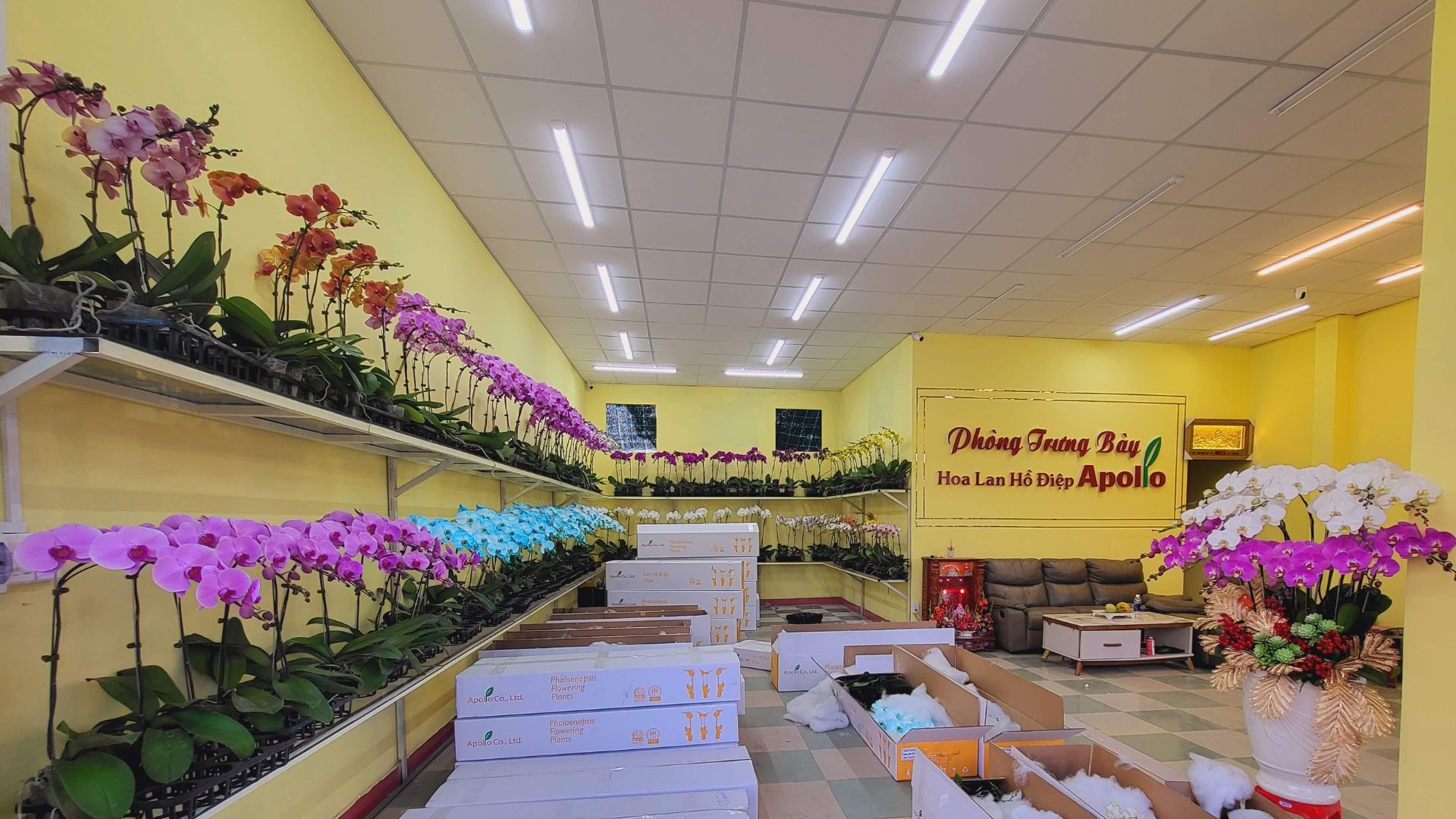 Welcome To Vinh Thắm Orchids